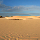 Desert Viana